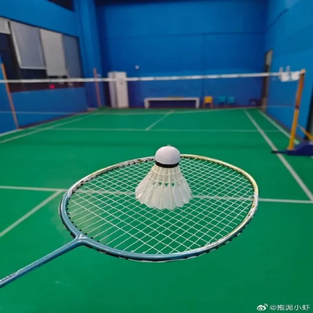 教练战术指导